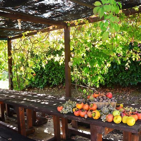 Cannara Country House Nonna Rana מראה חיצוני תמונה