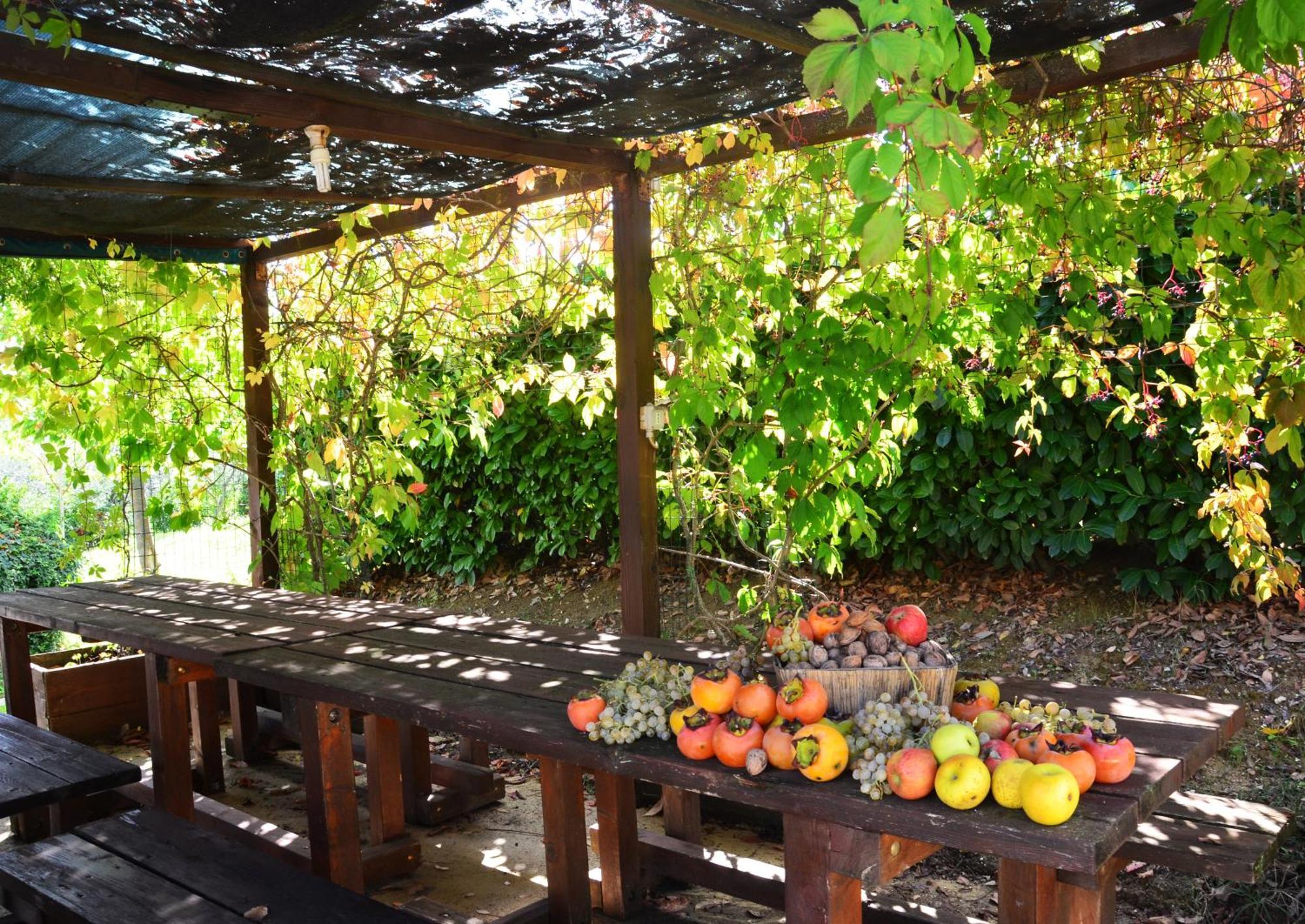 Cannara Country House Nonna Rana מראה חיצוני תמונה