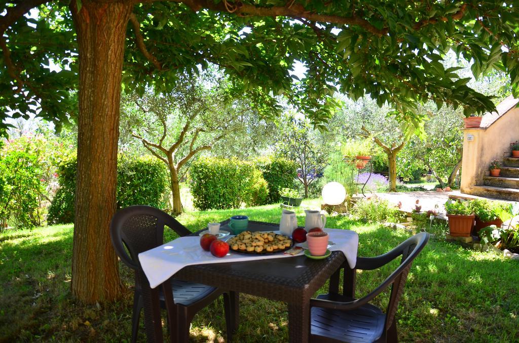 Cannara Country House Nonna Rana מראה חיצוני תמונה